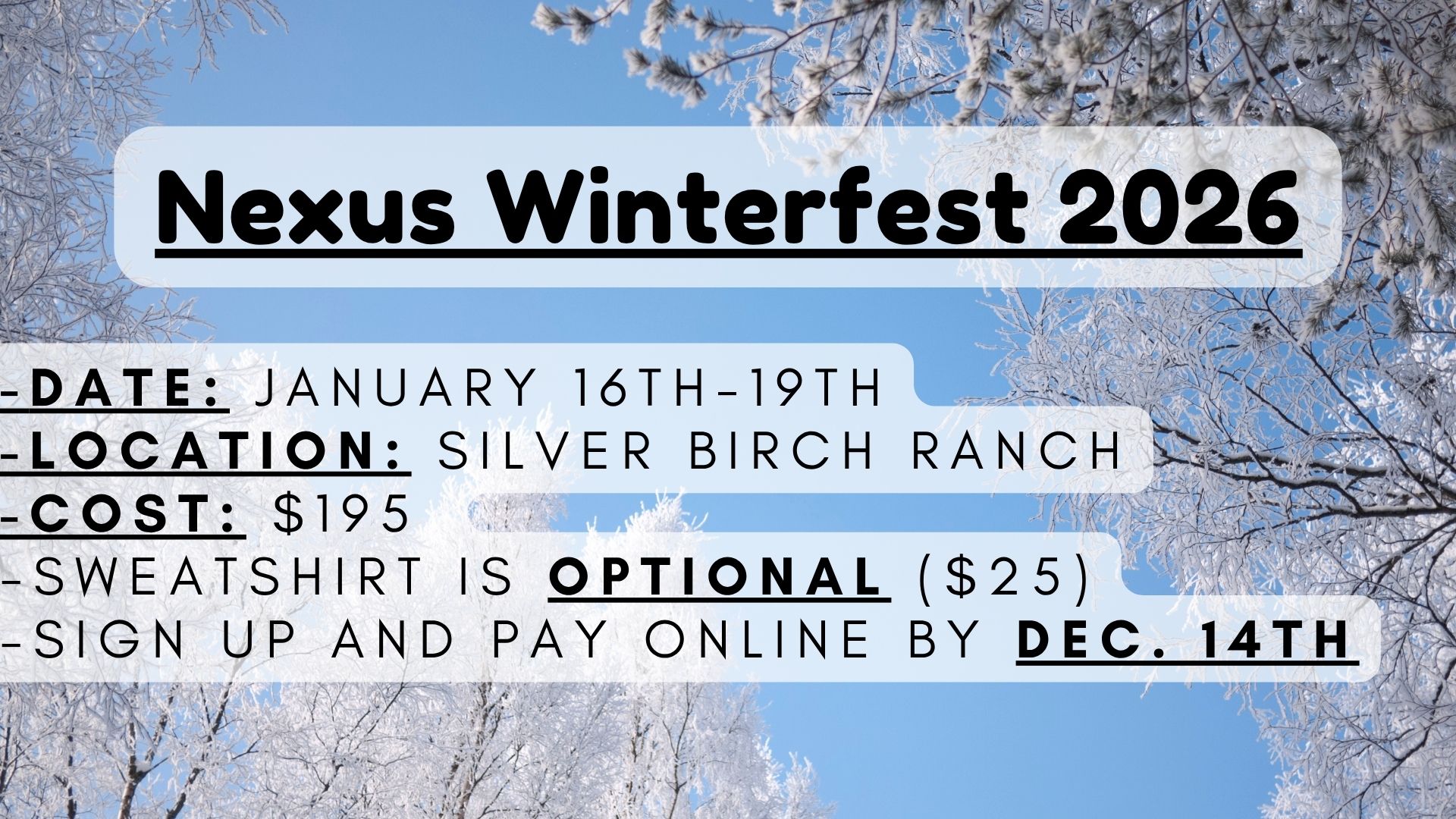 Nexus Winterfest 6